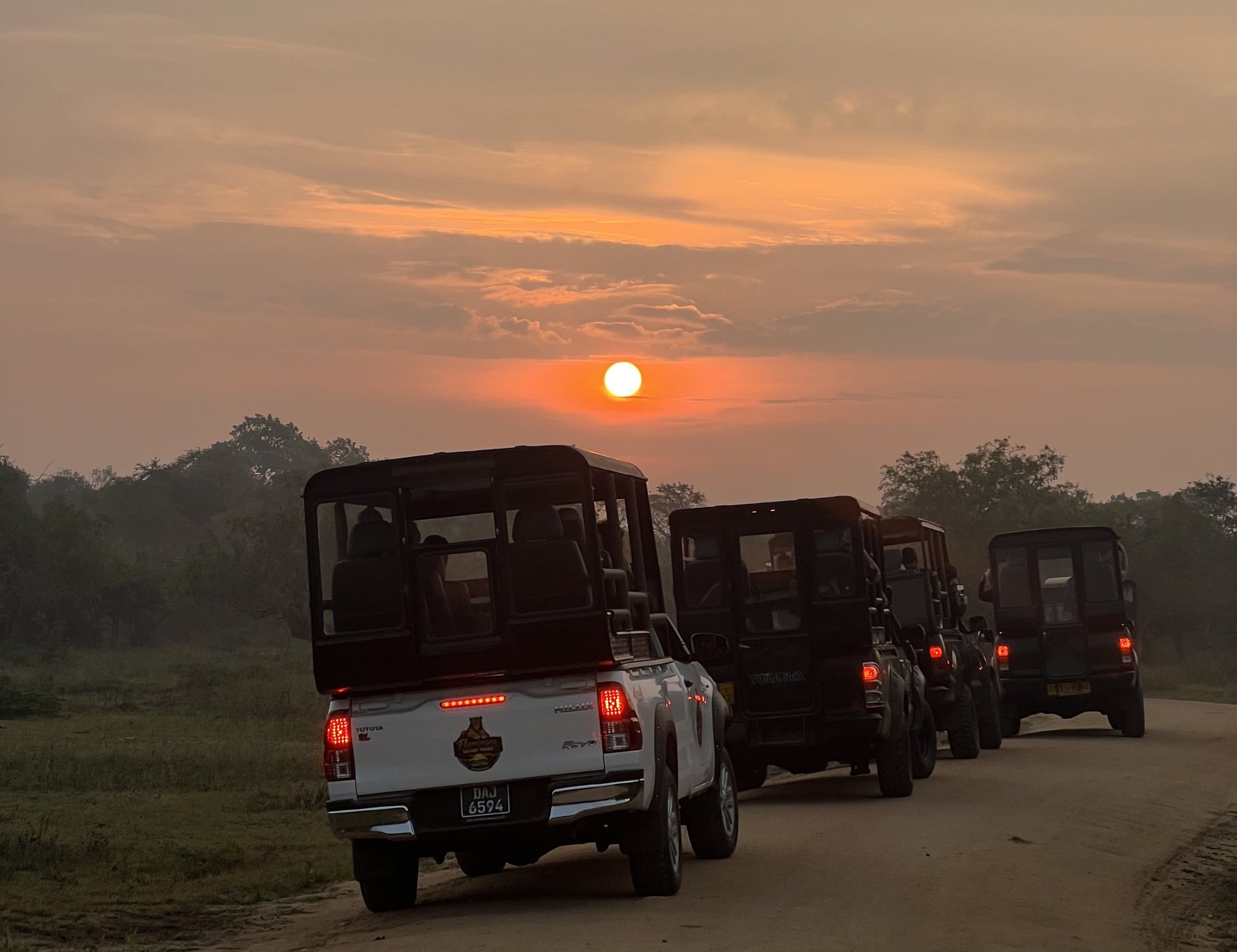 A convoy of safari jeeps on a dirt track through Yala's dry-zone forest
